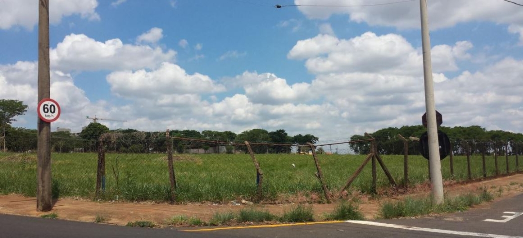 São José do Rio Preto SP - 148254 - SAO JOSE DO RIO PRETO.jpeg