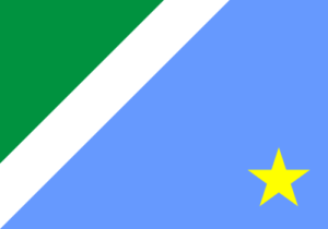 Bandeira de Mato Grosso do Sul