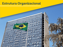 banner estrutura organizacional mobile banner estrutura organizacional mobile