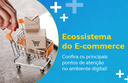 767x576 Ecossistema do E-commerce.png