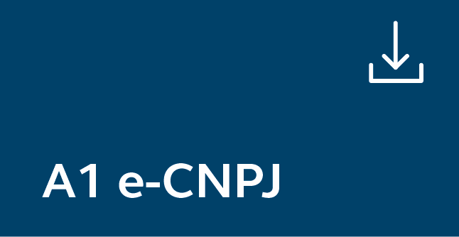 A1 e CNPJ -arquivo.png