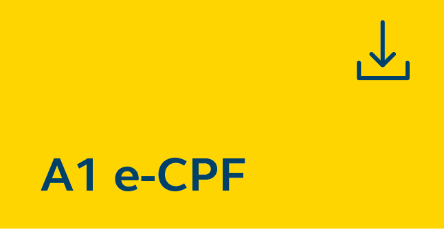 A1 e-cpf - arquivo.png A1 e-cpf - arquivo.png