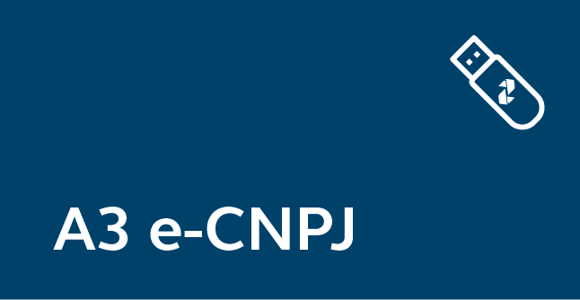 A3 e-cnpj - token.png