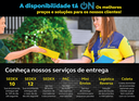 4_envio_web.png