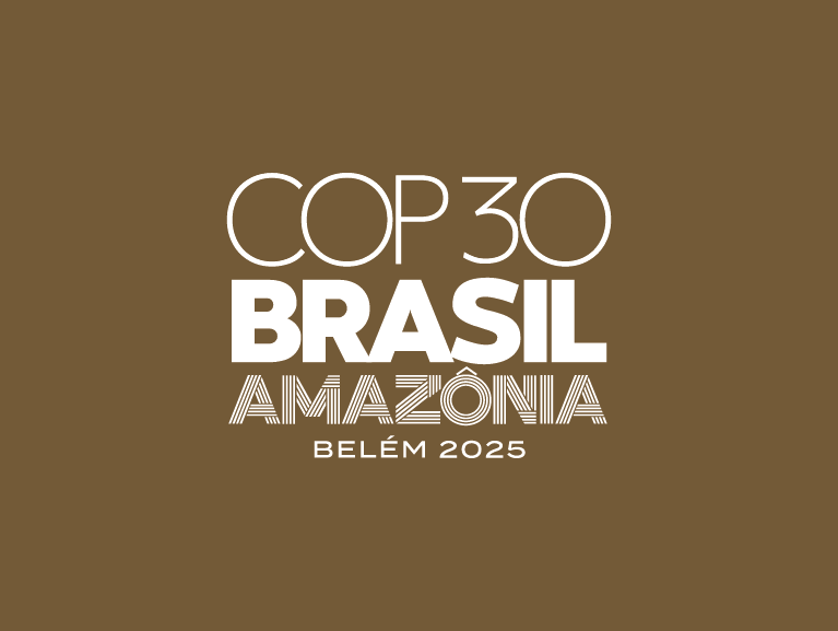 card cop30