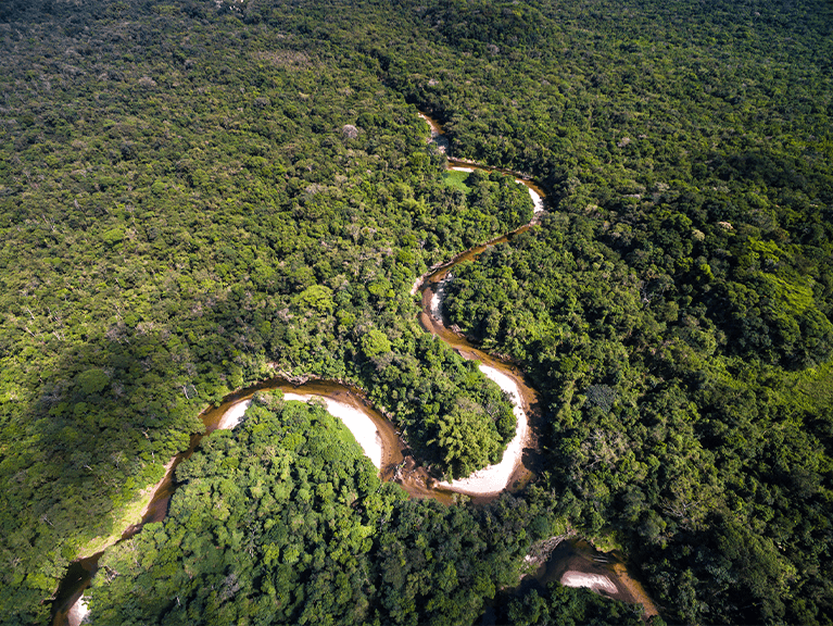 Imagem de floresta sendo cortado por Rio