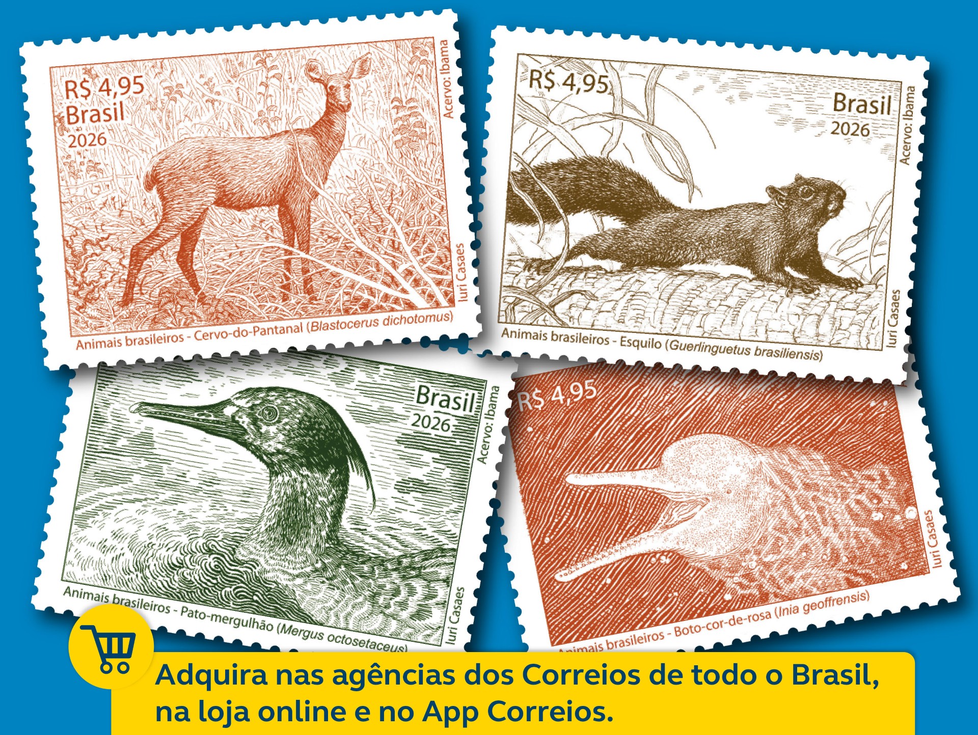 Animais Brasileiros.jpg