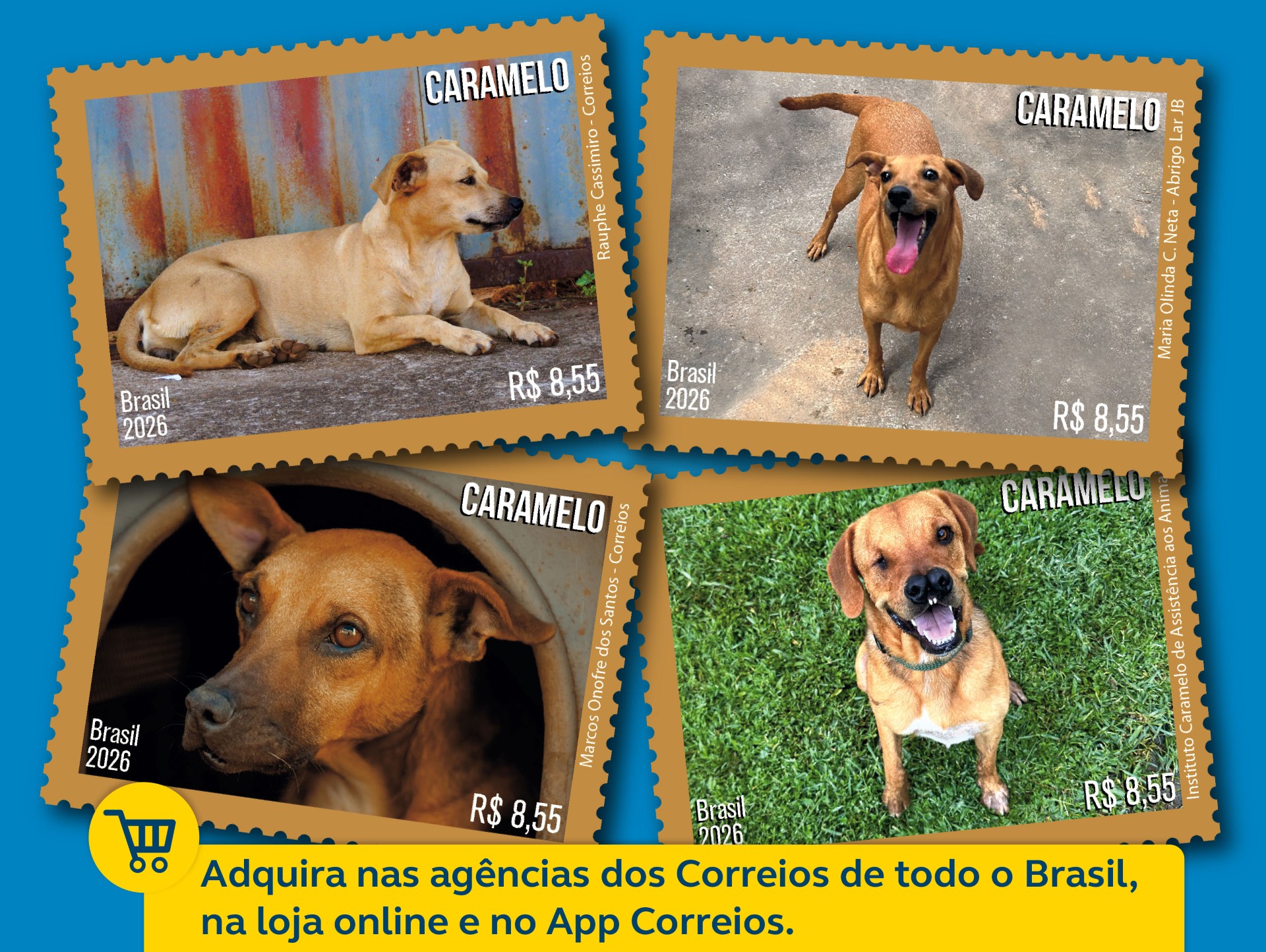 Banner_Cachorro_Caramelo .jpg
