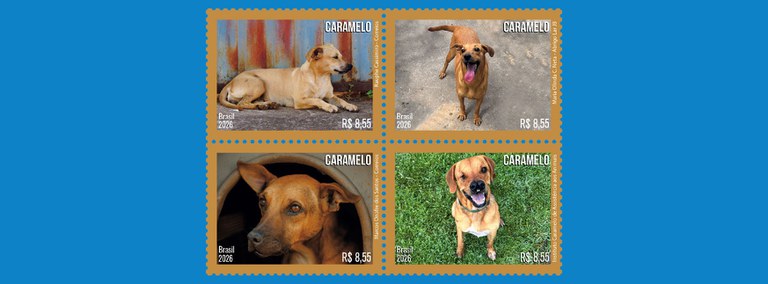 Meio ambiente Selo - Cachorro Caramelo