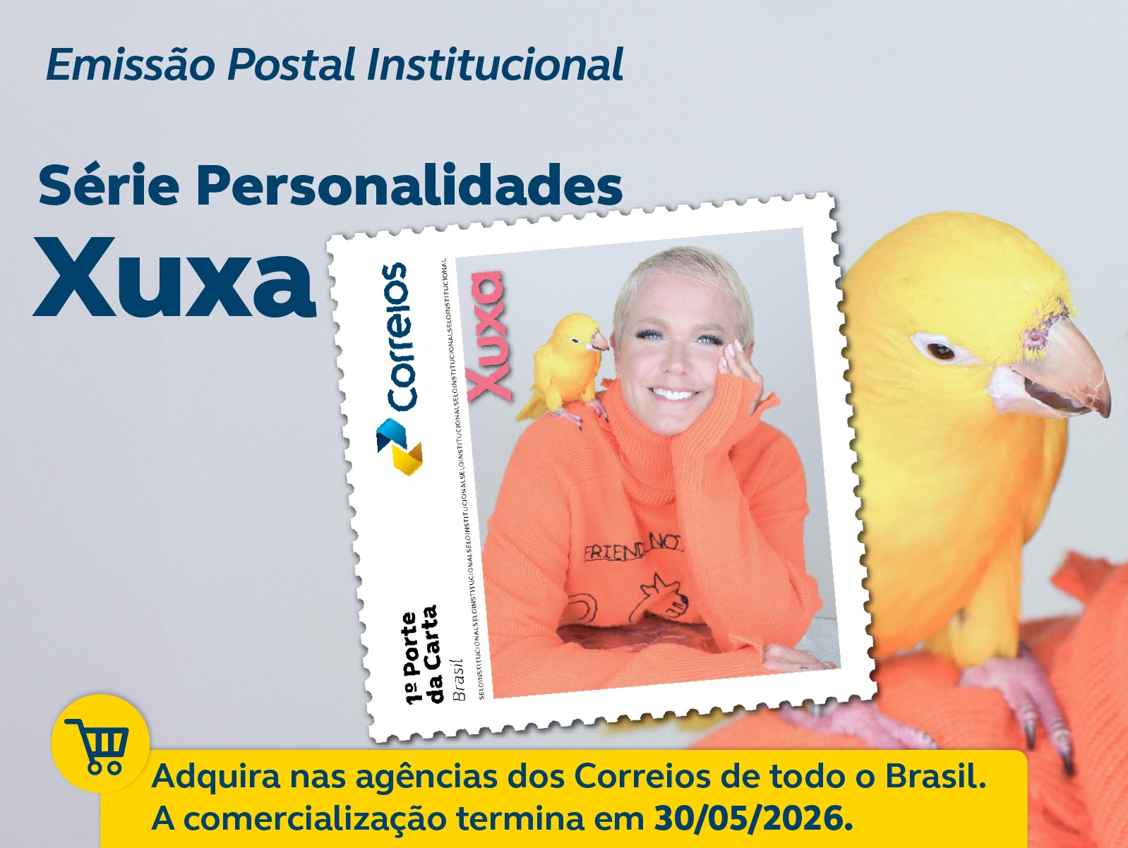 O selo apresenta uma imagem da xuxa com um passarinho amarelo no ombro direito e o texto na lateral direita - 1º Porte da Carta e o símbolo dos Correios.
