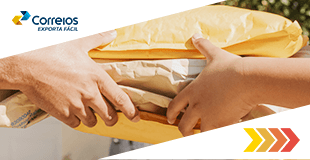 Premium Envelopes pardos sendo entregues de uma mão para outra