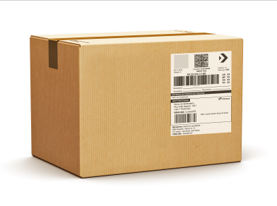 card modelos de rótulos desenho de caixa de encomenda em papelão e etiqueta dos correios colada