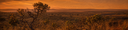 BannerDesktop3.png