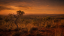 Paisagem.png