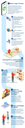 Infografico entregador_parceiro - Desktop.png